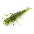Diving Bug 2" Watermelon Seed